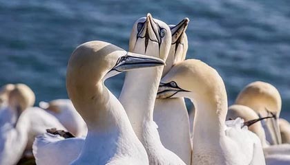 开云体育入口：让热爱体育的人生故事从这里开始