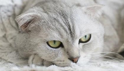 开云体育入口：让热爱体育的人生故事从这里开始