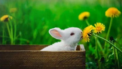 开云体育入口：让热爱体育的人生故事从这里开始