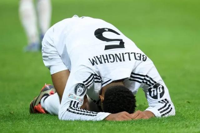 1727915087602083074.jpg 15.jpg